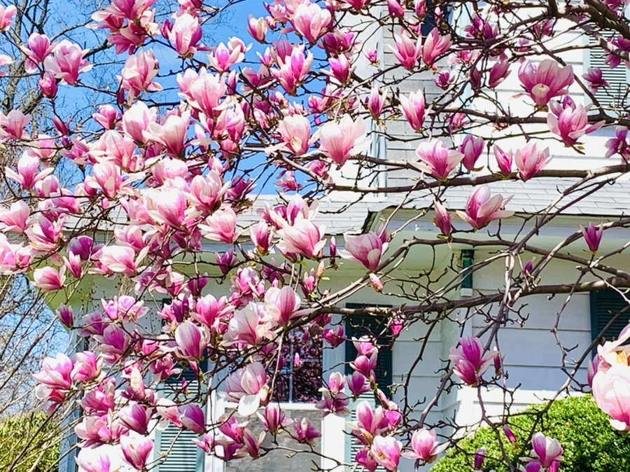 IMG_8581.jpg?type=w966