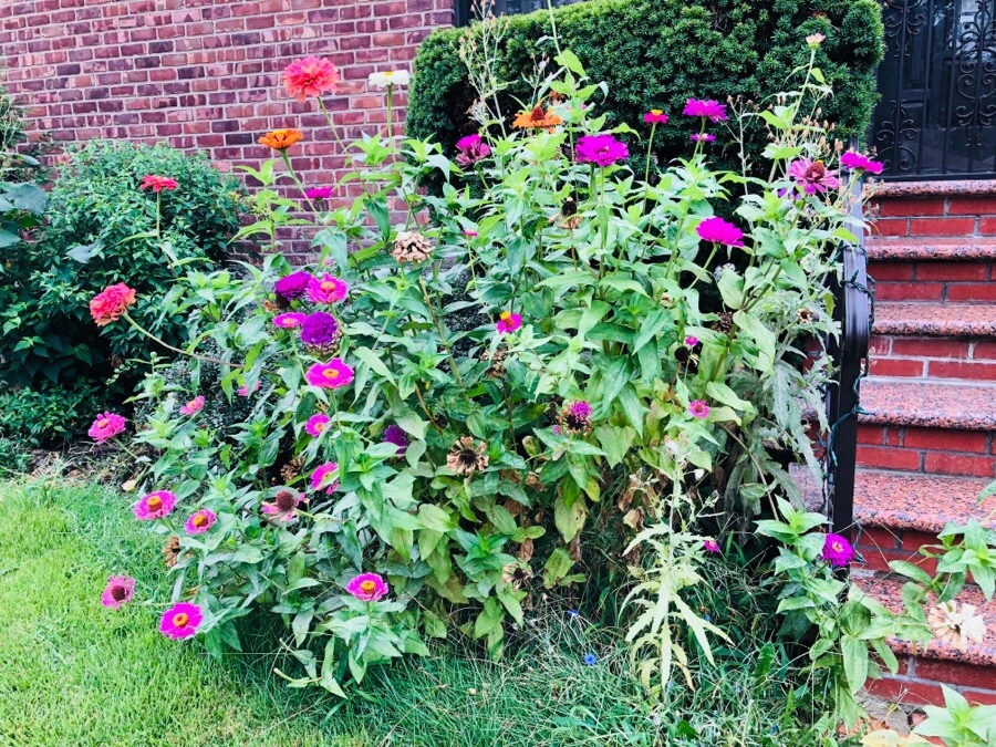 IMG_4309.jpg?type=w966