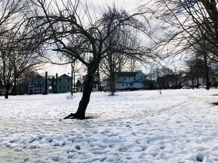 IMG_2843.jpg?type=w966