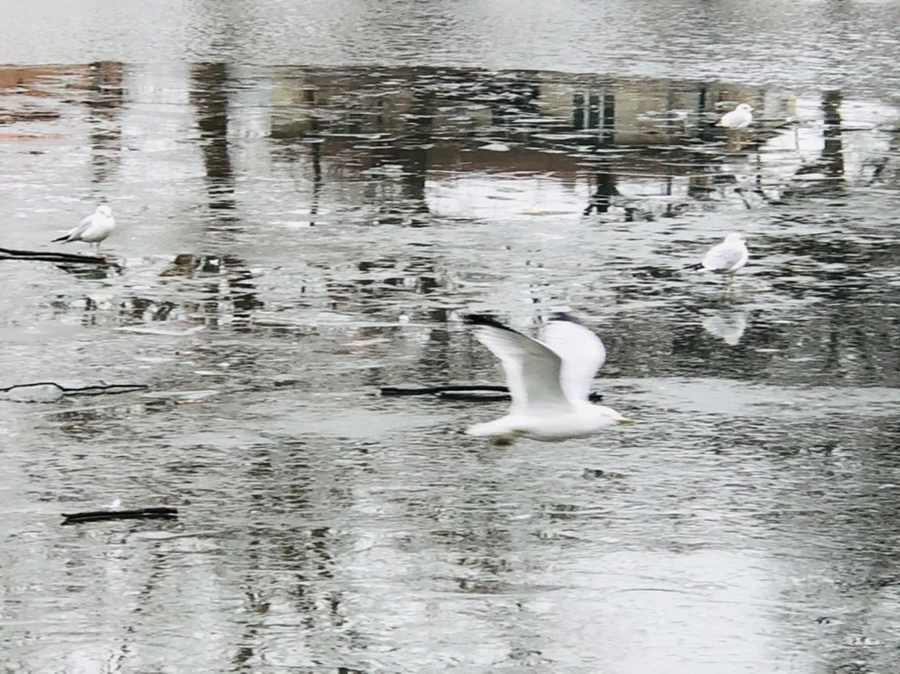 IMG_3135.jpg?type=w966