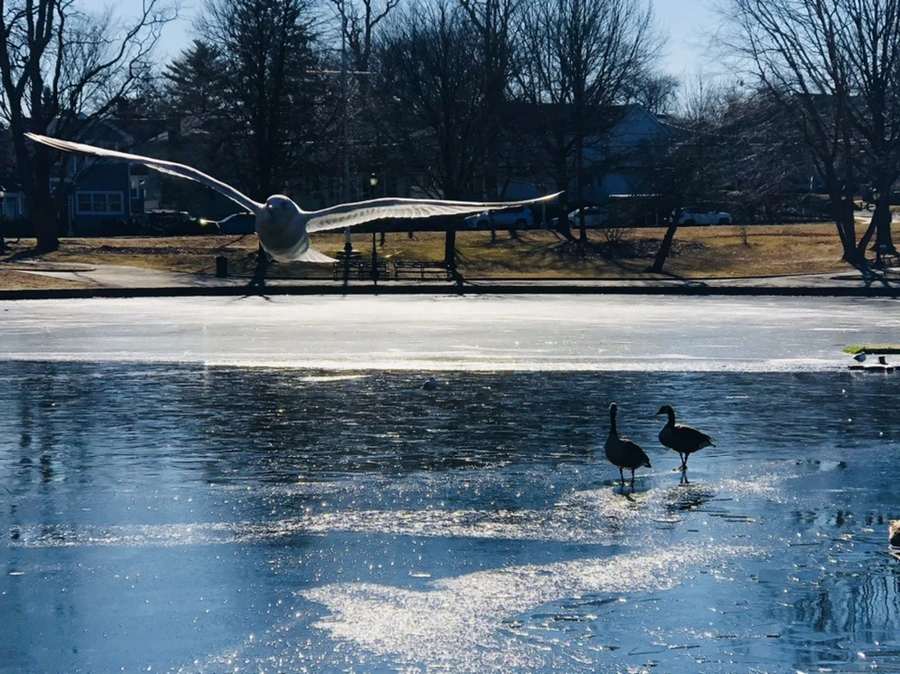 IMG_7948.jpg?type=w966