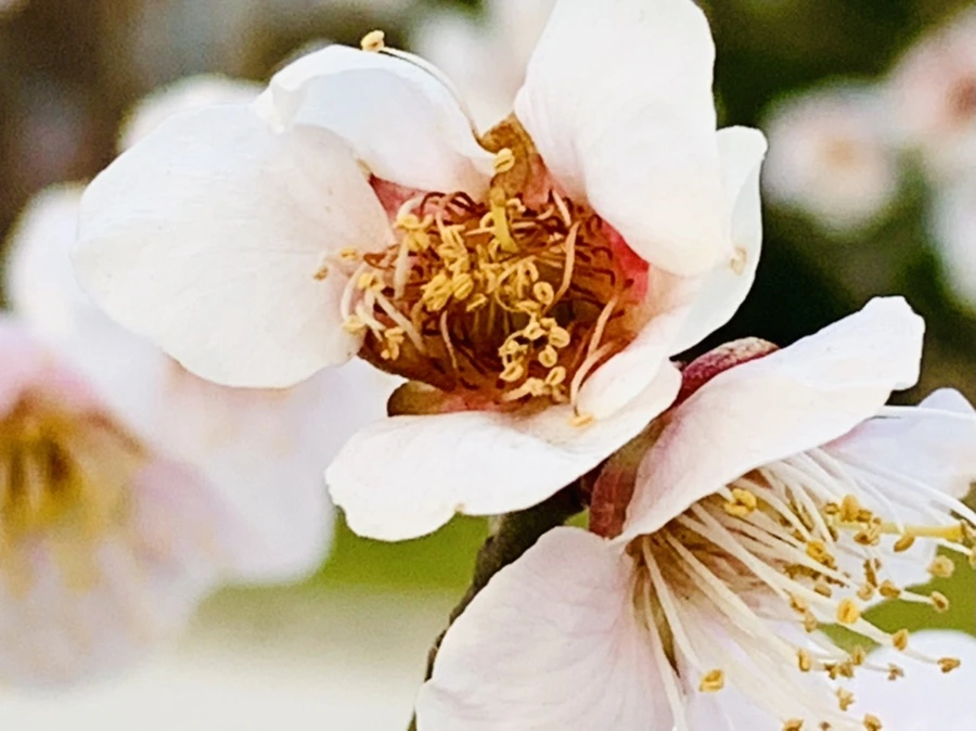 IMG_2838.jpg?type=w966