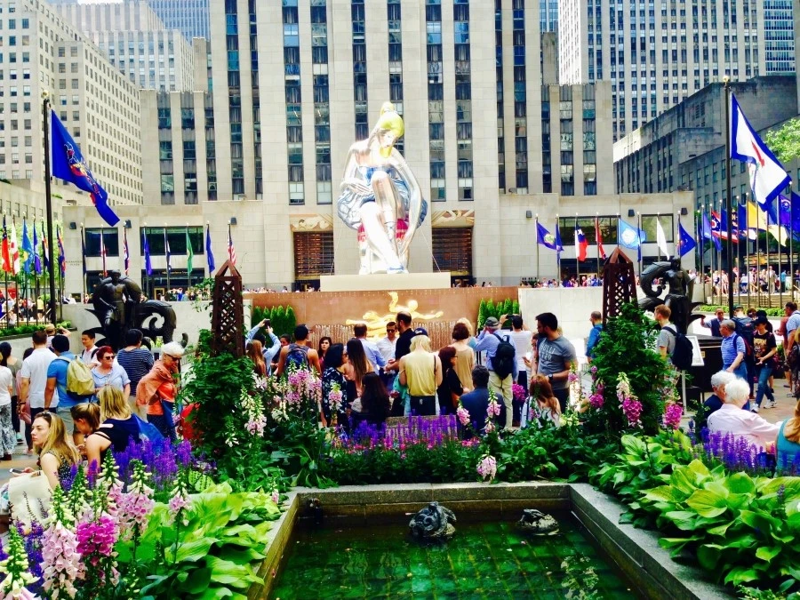 IMG_1777.jpg?type=w1