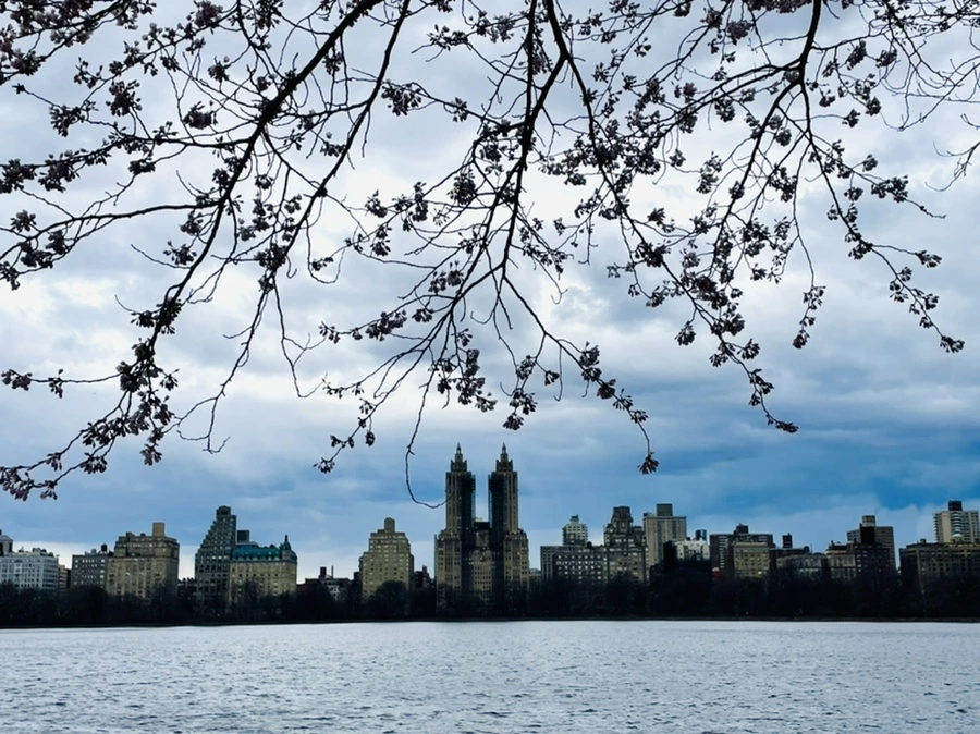 IMG_8244.jpg?type=w966