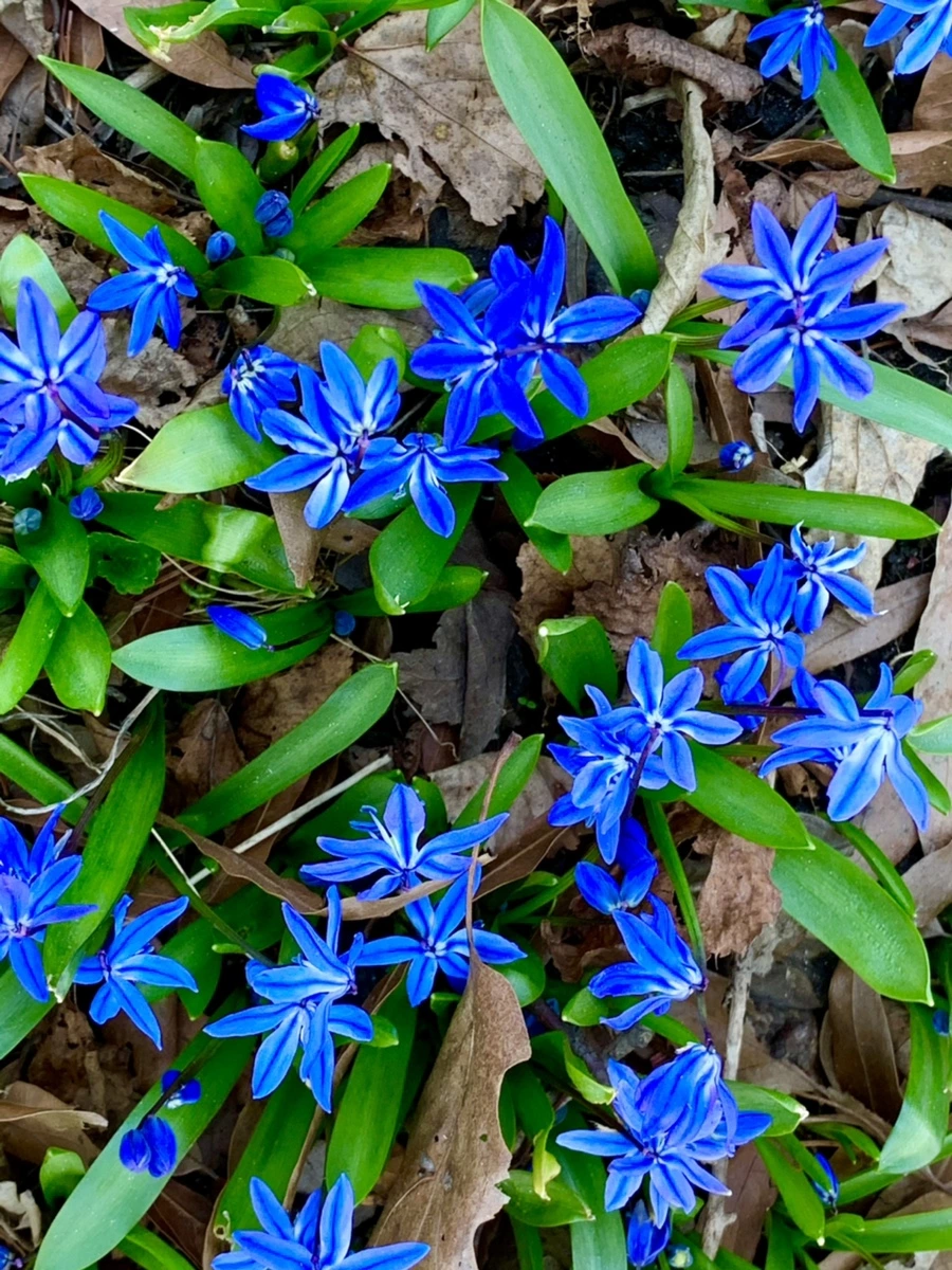 IMG_5659.jpg?type=w966