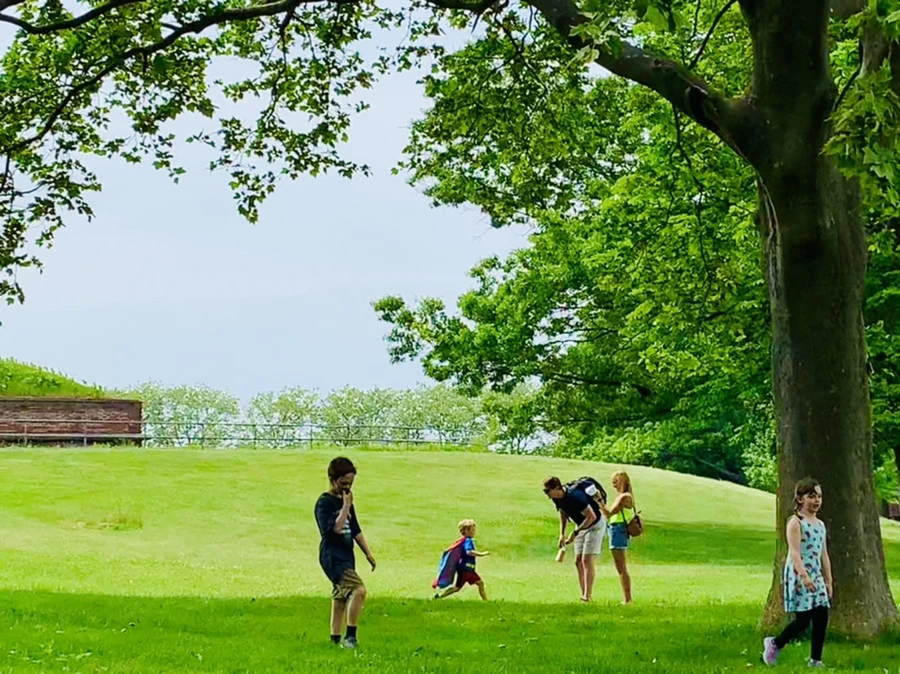 IMG_5177.jpg?type=w966