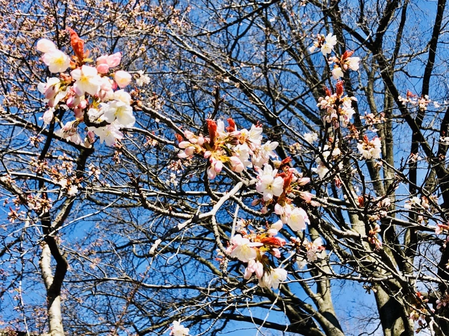 IMG_6630.jpg?type=w966