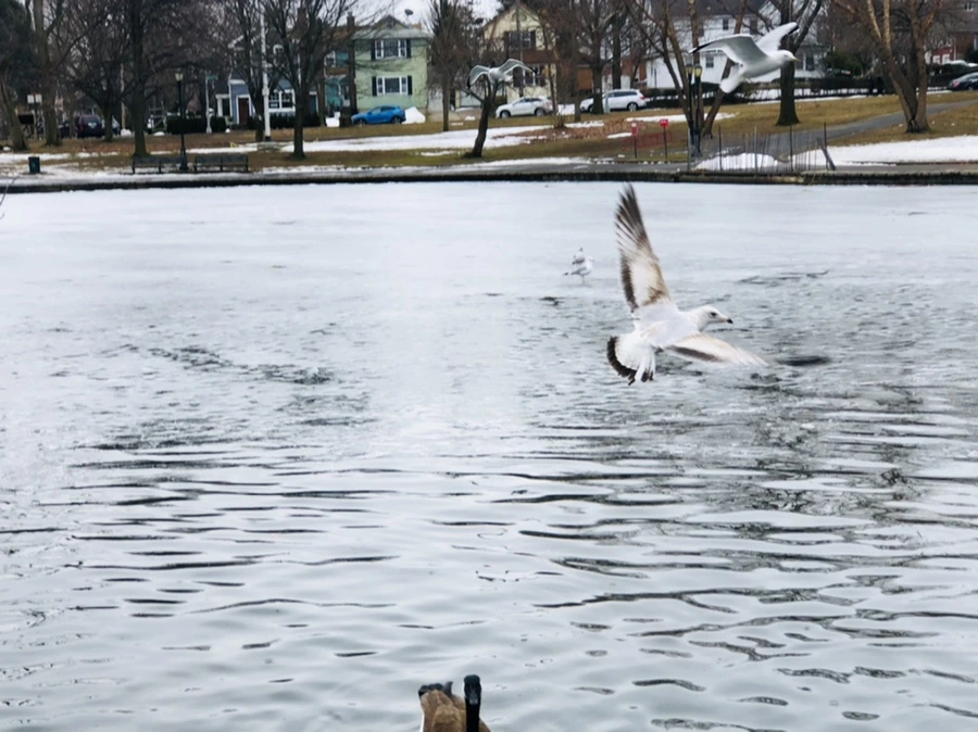 IMG_5821.jpg?type=w966