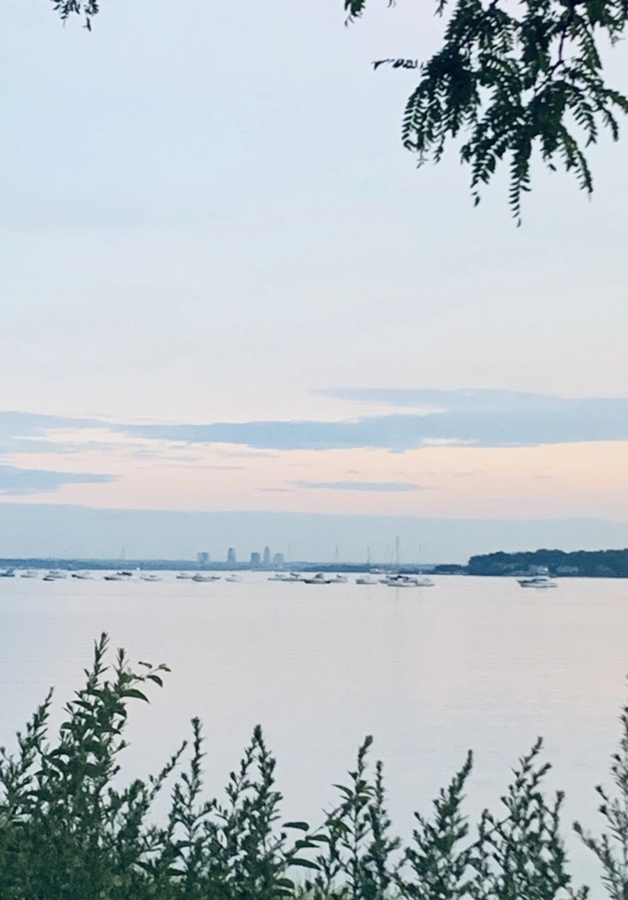 IMG_0882.jpg?type=w966