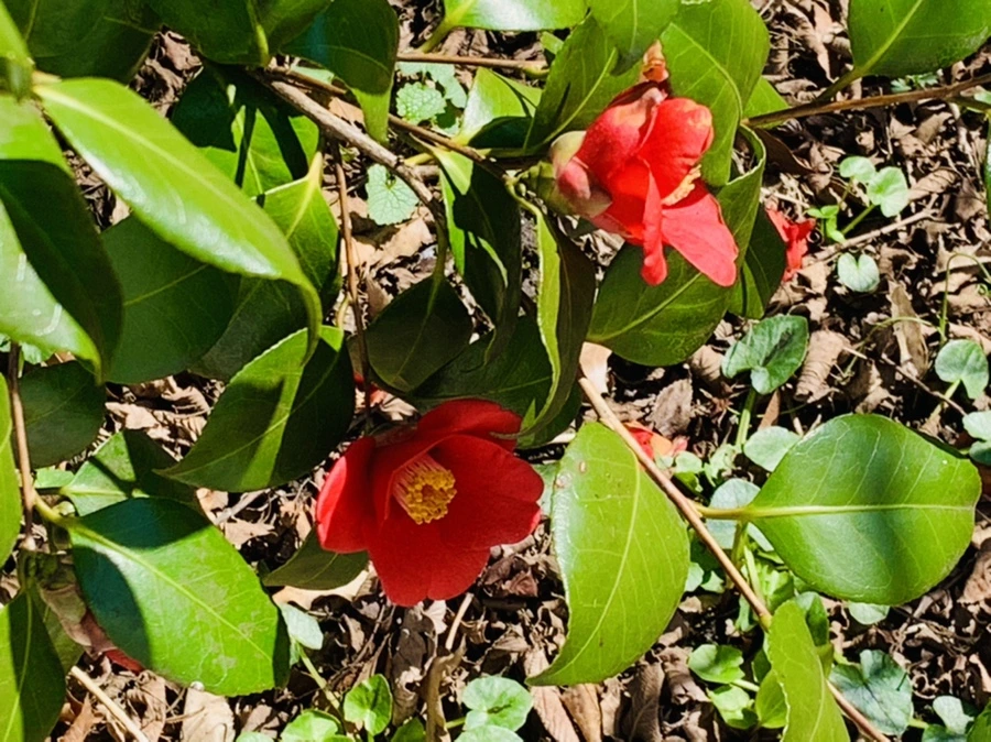 IMG_5723.jpg?type=w966