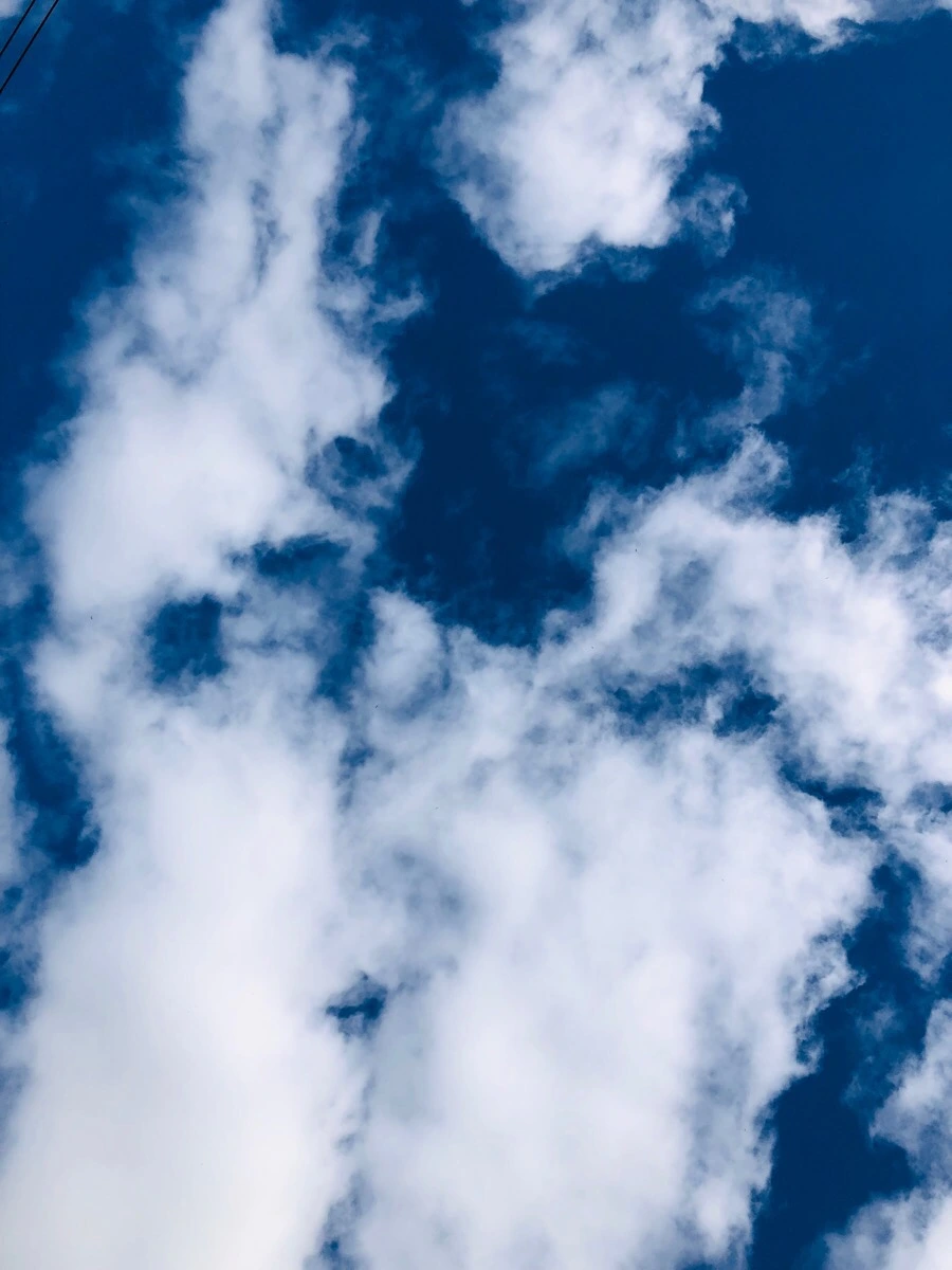 IMG_6808.jpg?type=w966