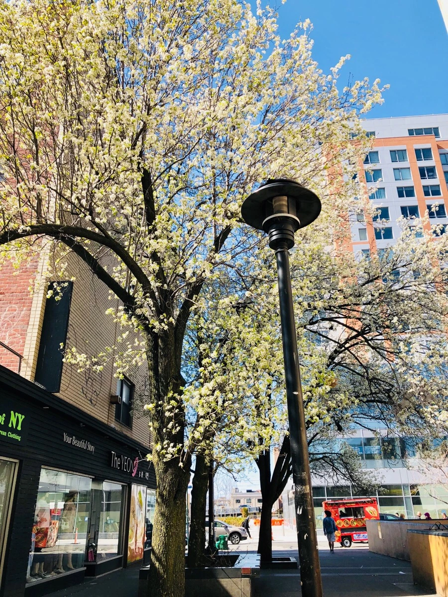 IMG_4598.jpg?type=w966