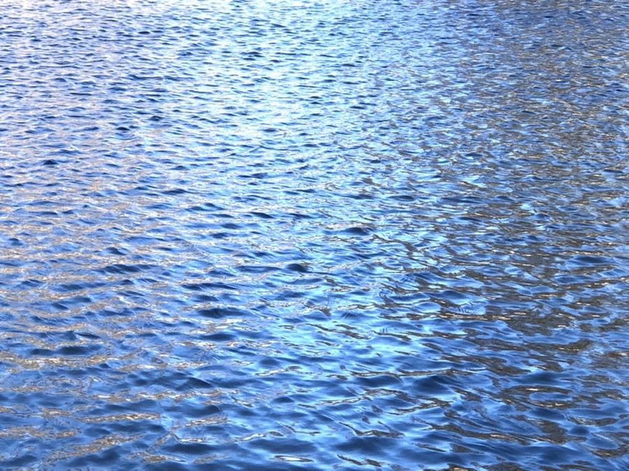 IMG_3787.jpg?type=w966