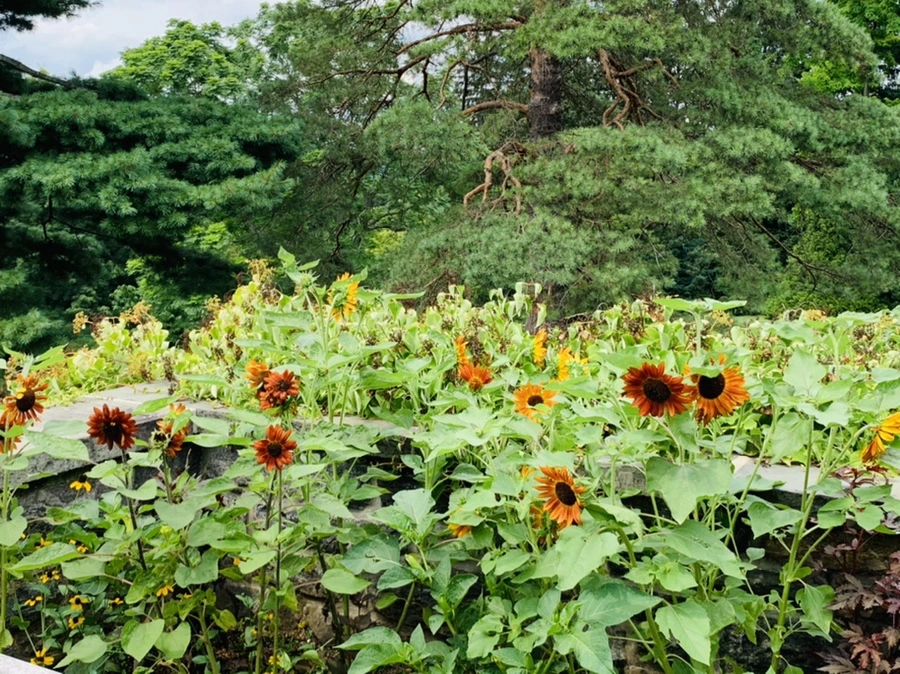 IMG_9330.jpg?type=w966