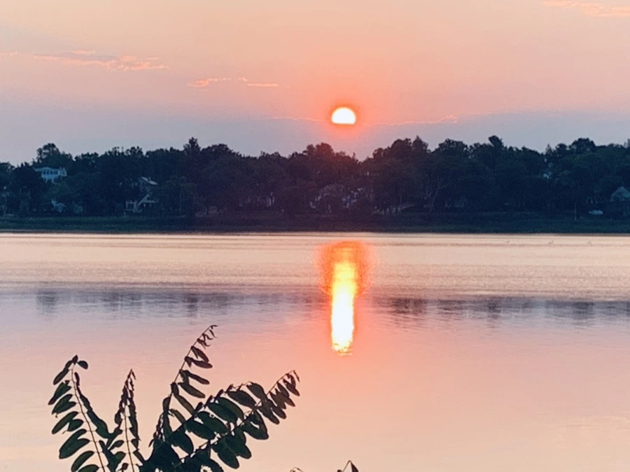 IMG_4660.jpg?type=w966