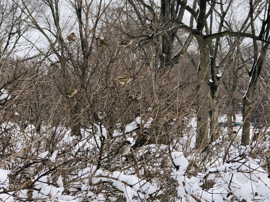 IMG_9545.jpg?type=w966