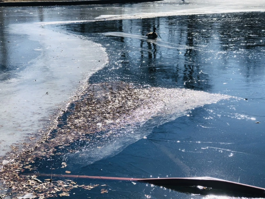 IMG_7925.jpg?type=w966