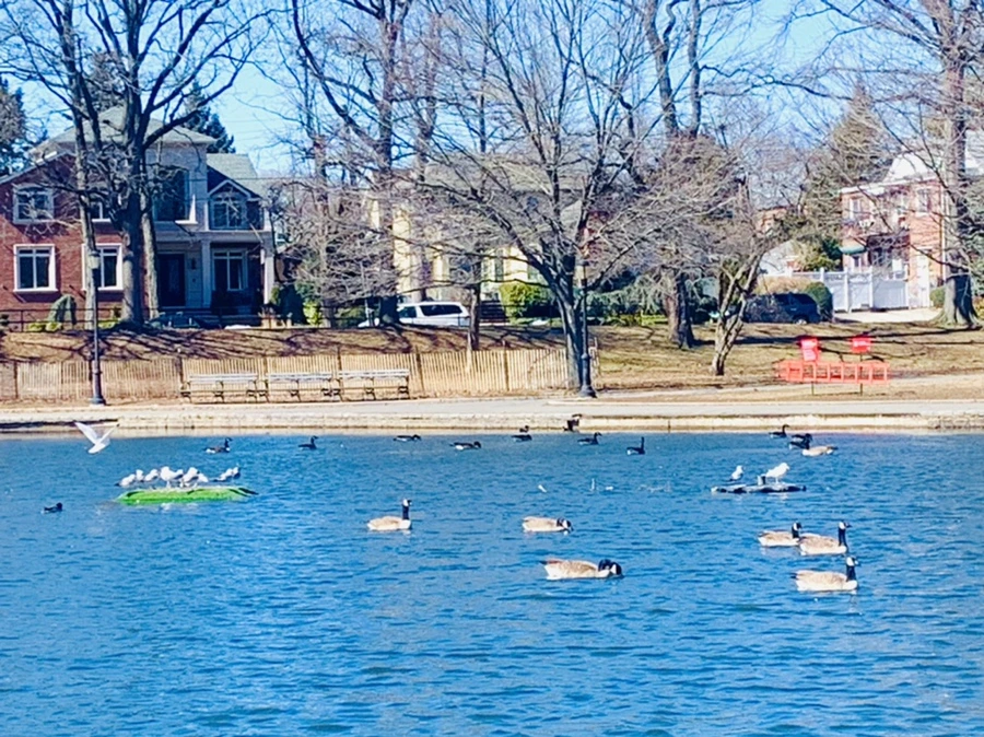 IMG_6641.jpg?type=w966