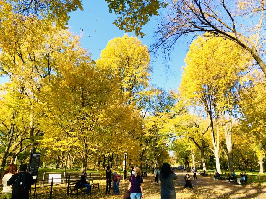 IMG_3461.jpg?type=w966