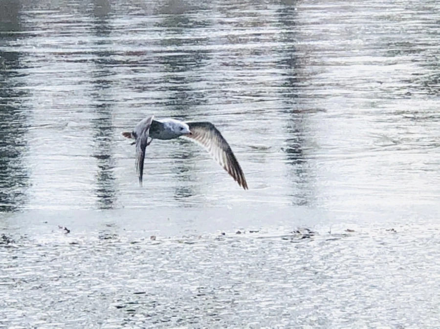 IMG_5294.jpg?type=w966