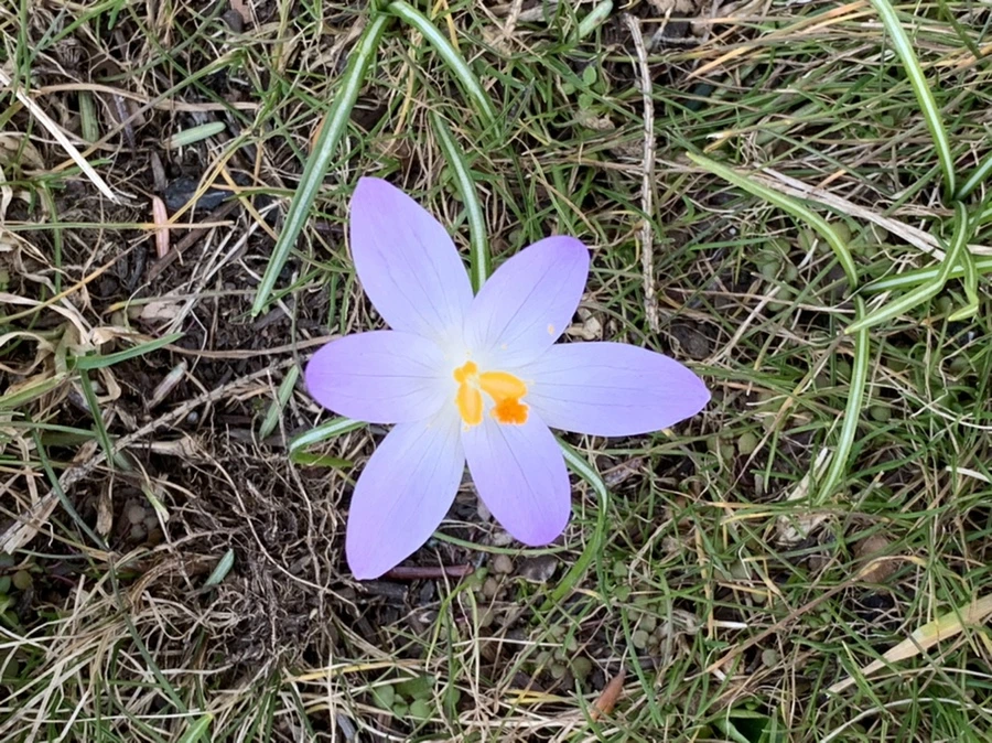 IMG_9239.jpg?type=w966