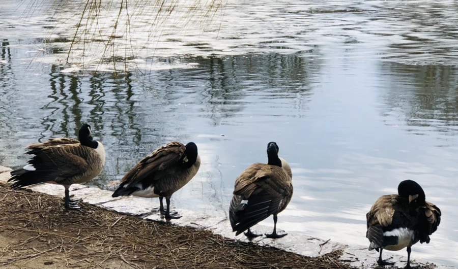 IMG_5070.jpg?type=w966