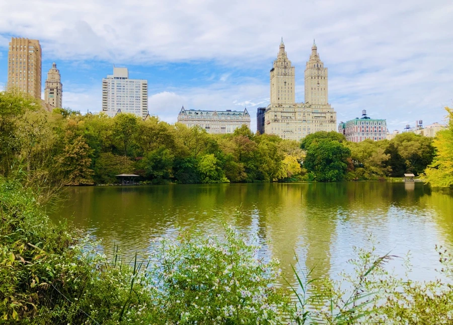 IMG_3044.jpg?type=w966