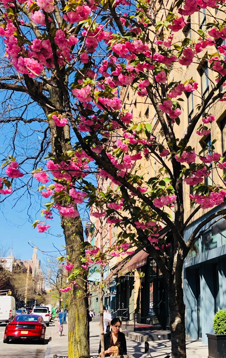 IMG_4804.jpg?type=w966