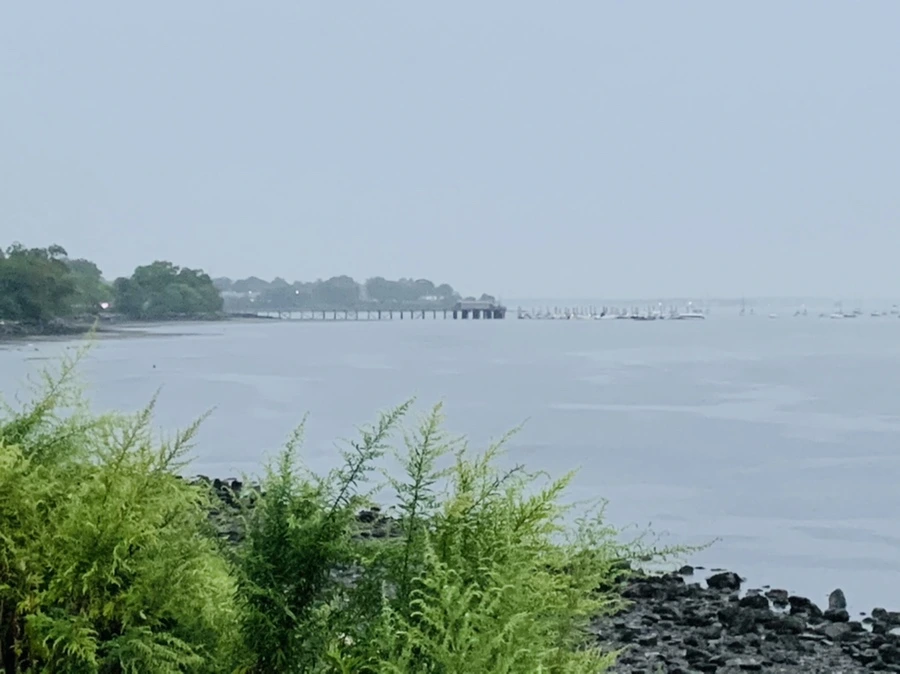 IMG_9279.jpg?type=w966