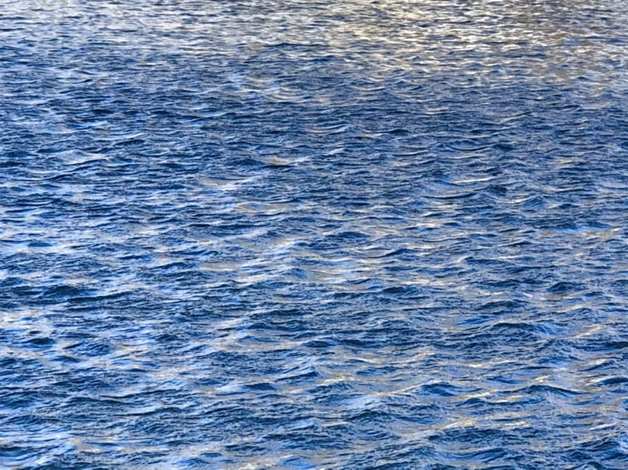 IMG_3746.jpg?type=w966