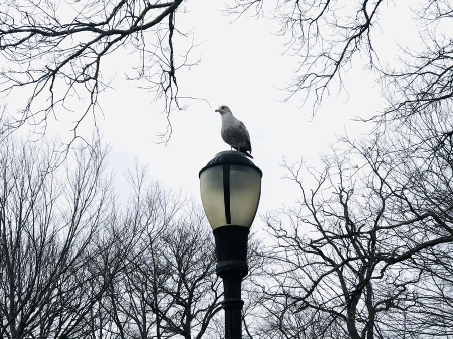 IMG_5968.jpg?type=w966