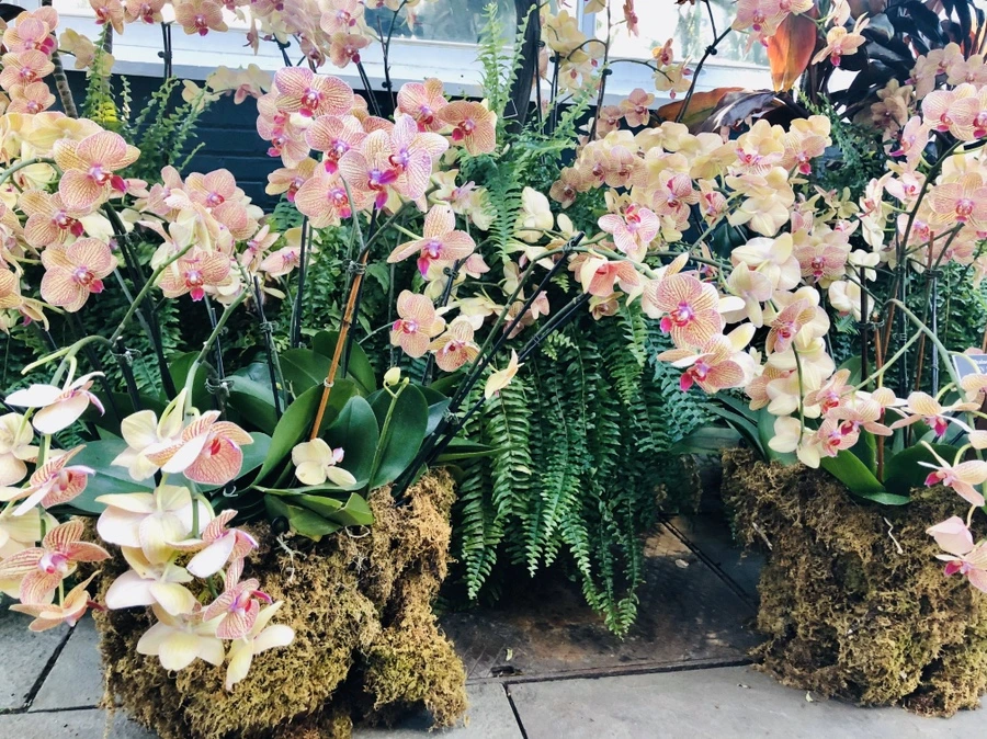 IMG_6314.jpg?type=w966