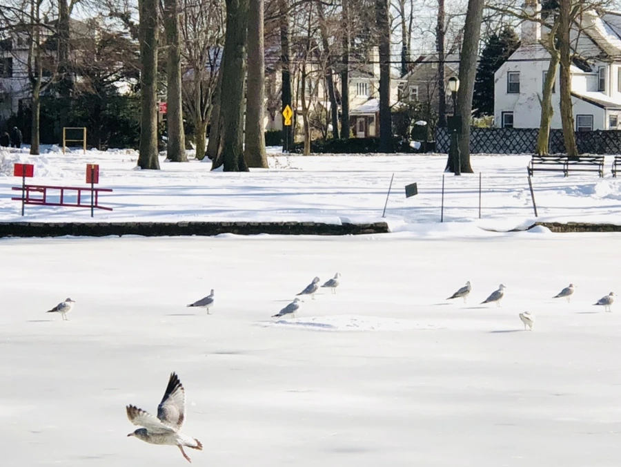 IMG_0347.jpg?type=w966