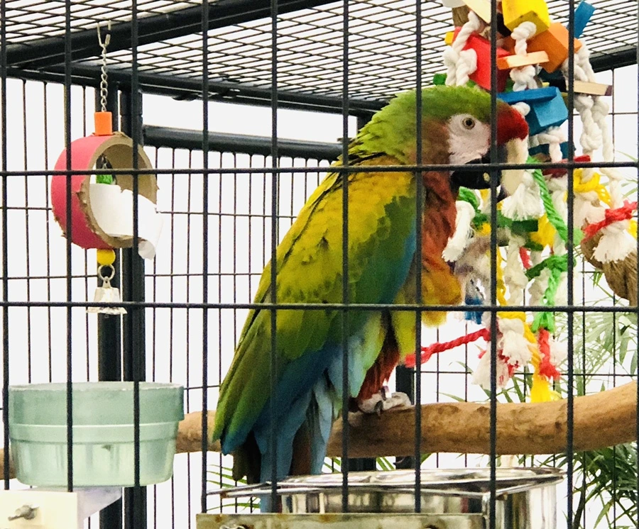 IMG_7513.jpg?type=w966