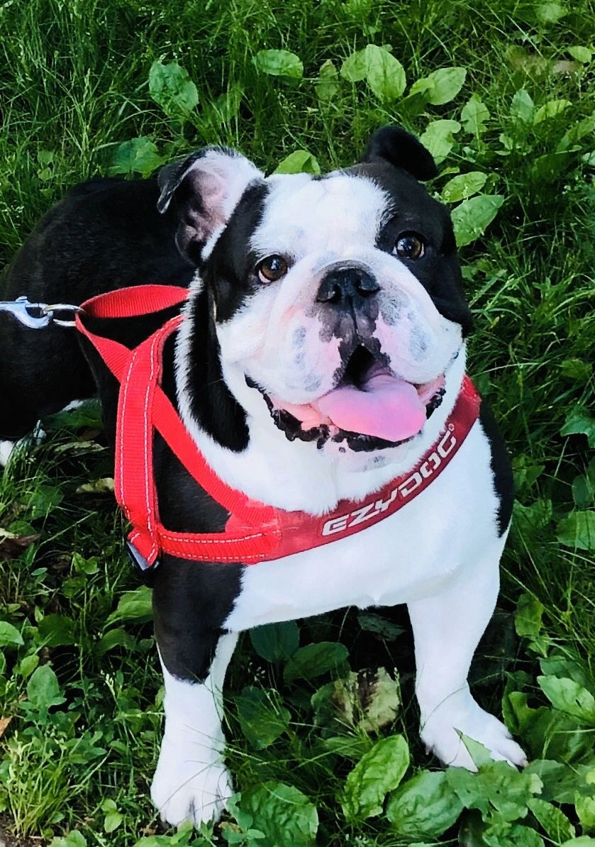 XGd4dTg224kOHOtchG3uFayI2vo