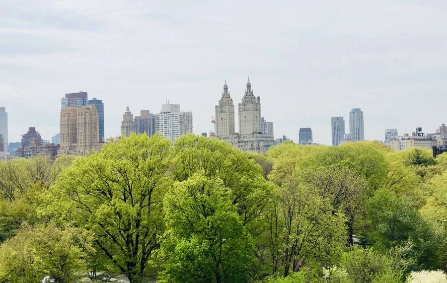 IMG_3552.jpg?type=w966