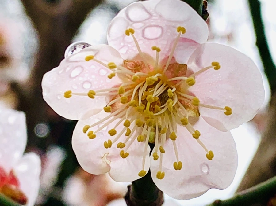 IMG_3951.jpg?type=w966