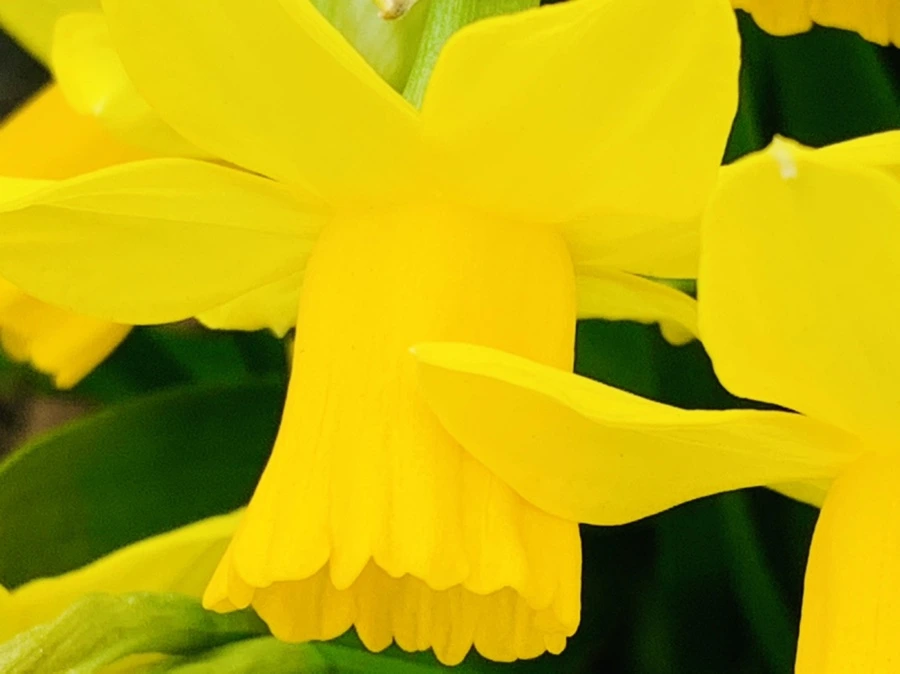 IMG_3473.jpg?type=w966