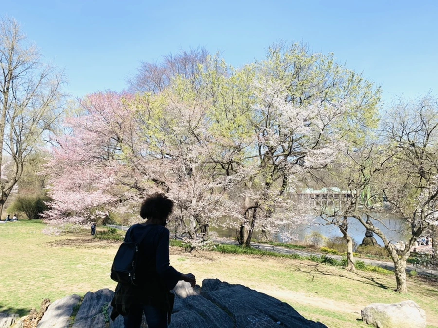 IMG_8951.jpg?type=w966