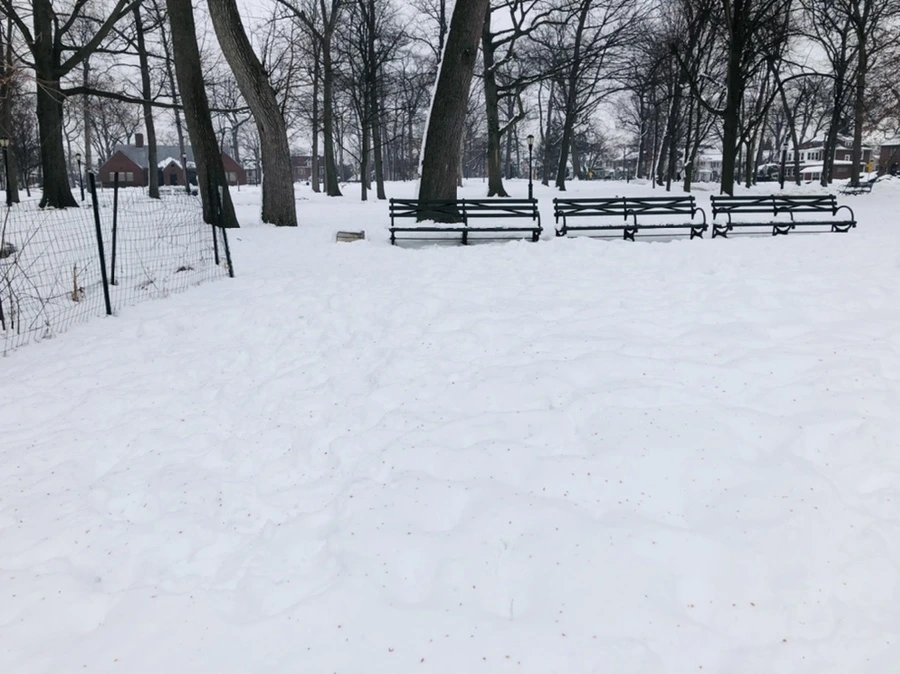 IMG_1503.jpg?type=w966