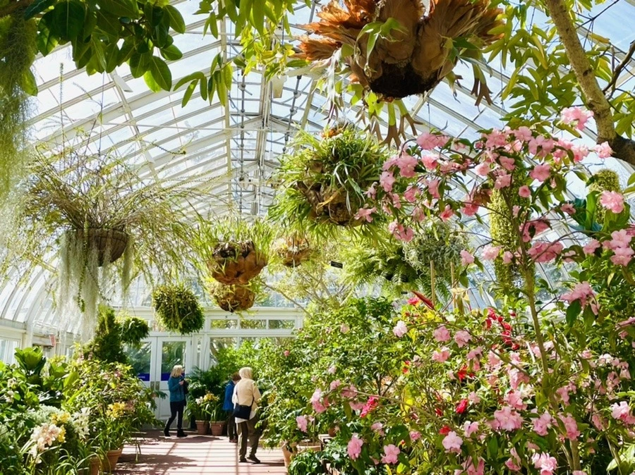 ANQVMnL8dMnjT6iFpPKvnywydS0