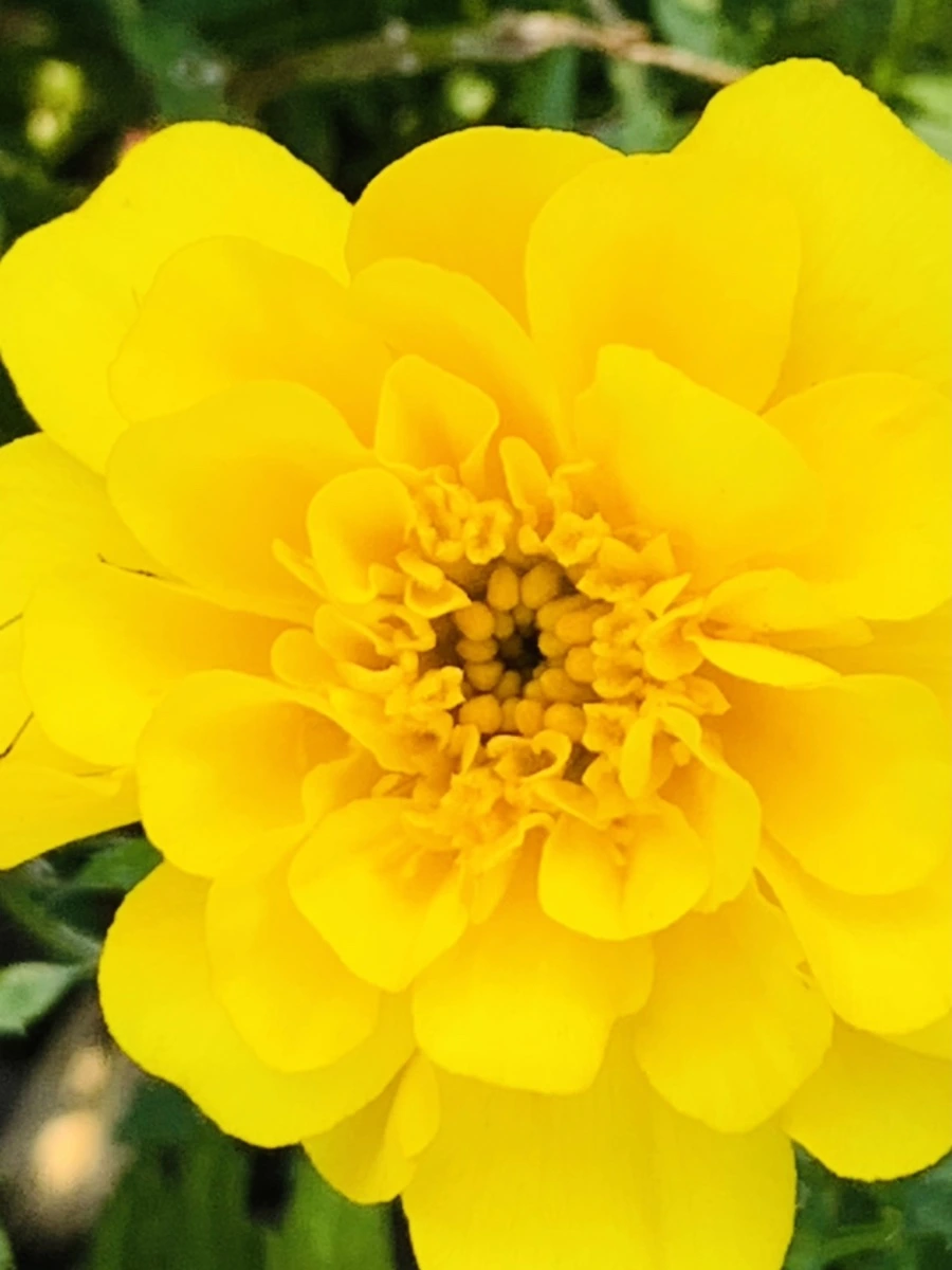 IMG_8355.jpg?type=w966