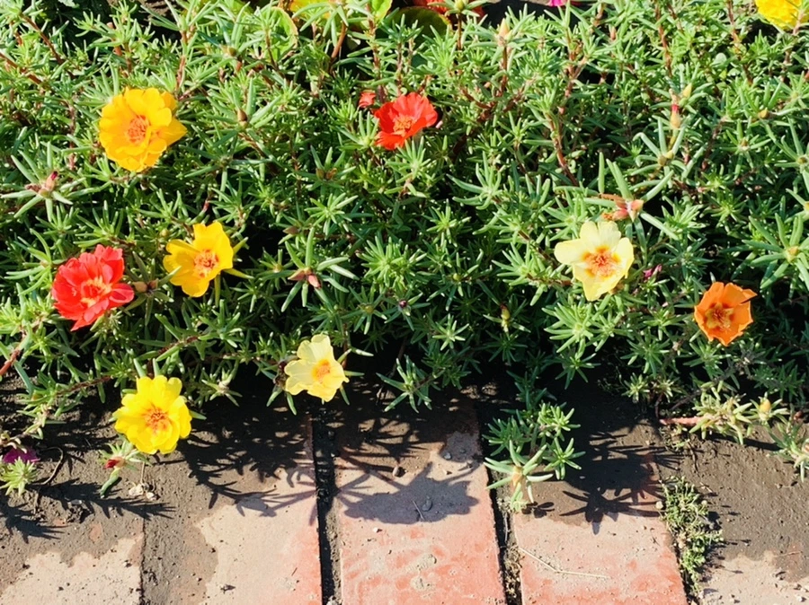 IMG_8412.jpg?type=w966