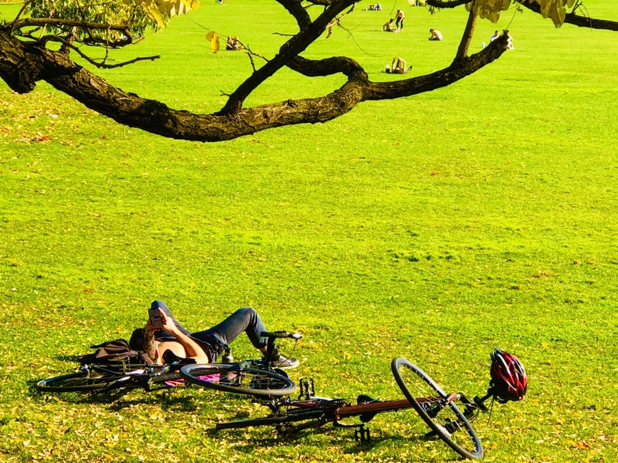 IMG_4362.jpg?type=w966