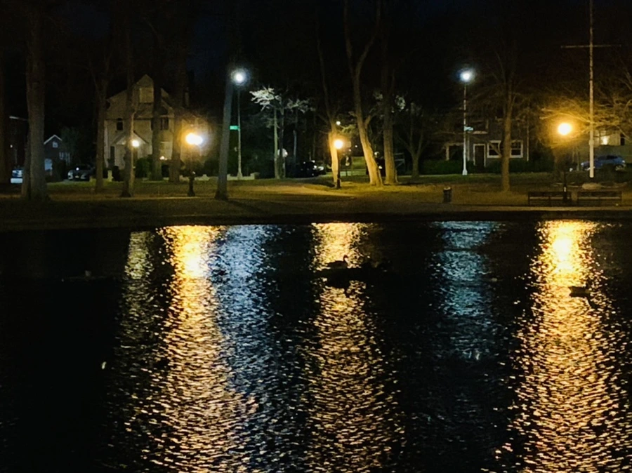 IMG_4618.jpg?type=w966