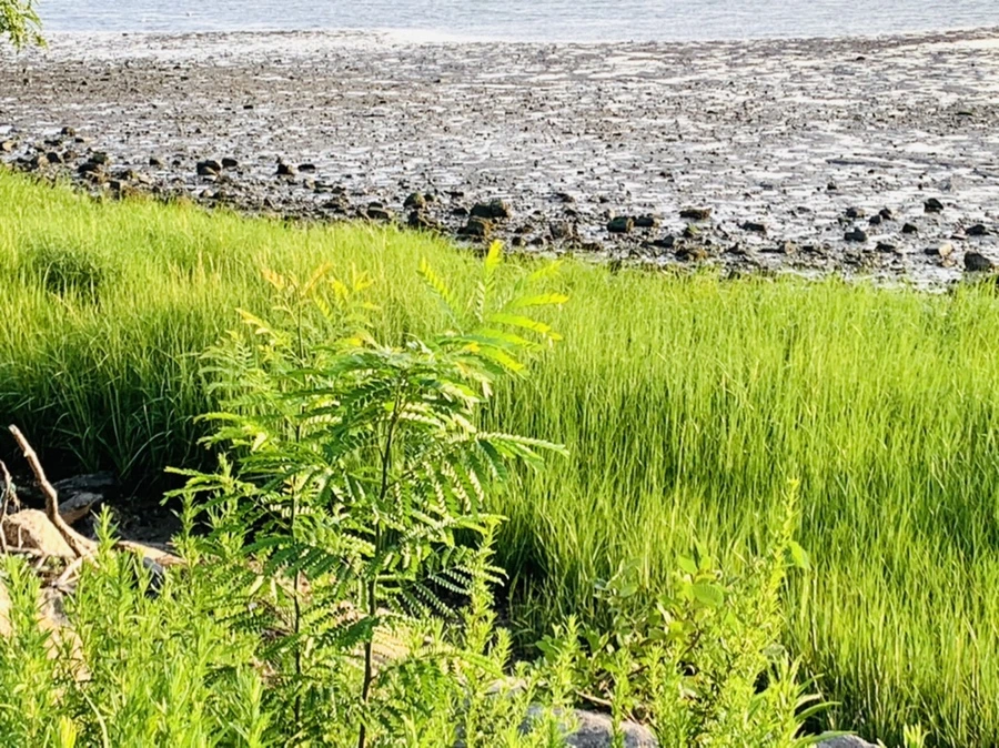 IMG_9810.jpg?type=w966