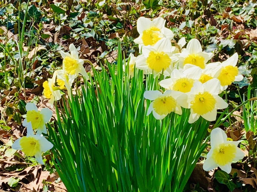 IMG_5814.jpg?type=w966