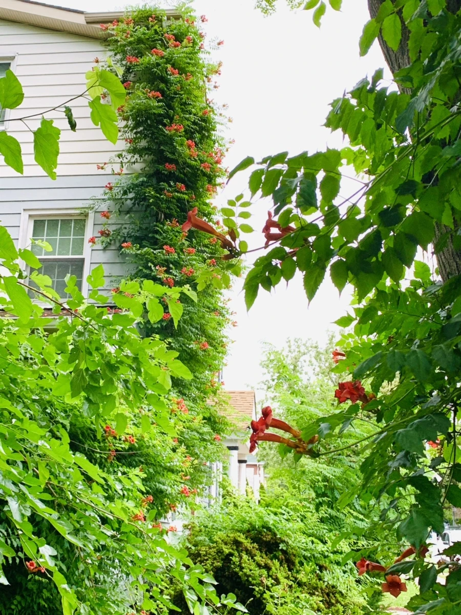 IMG_7439.jpg?type=w966