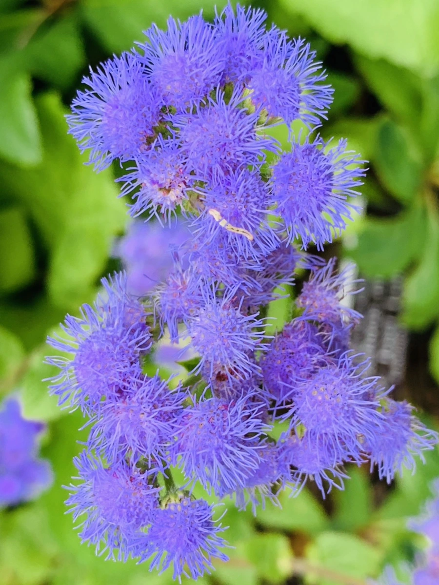 IMG_2639.jpg?type=w966