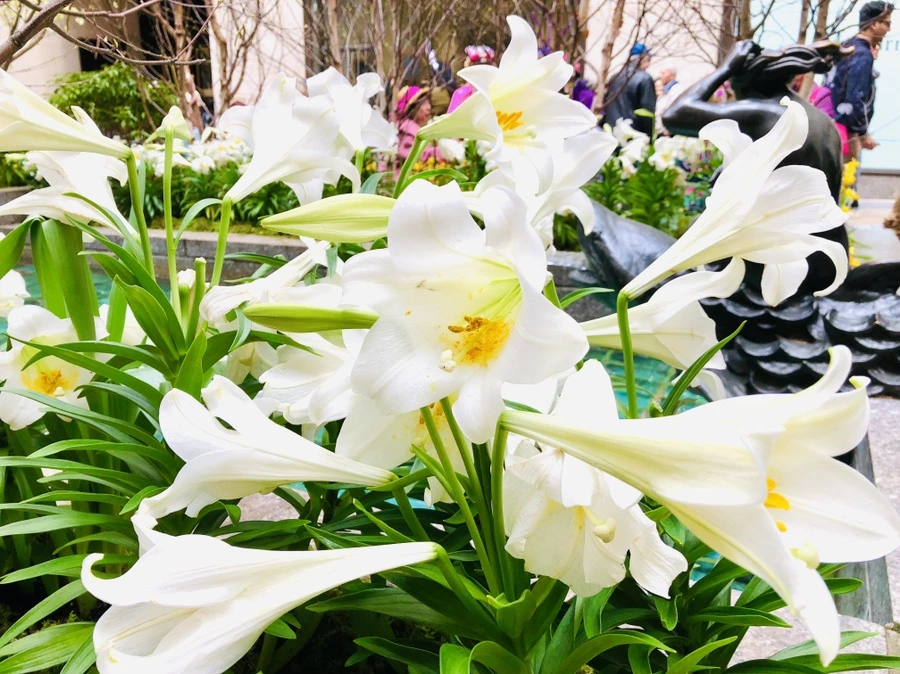 IMG_3437.jpg?type=w966